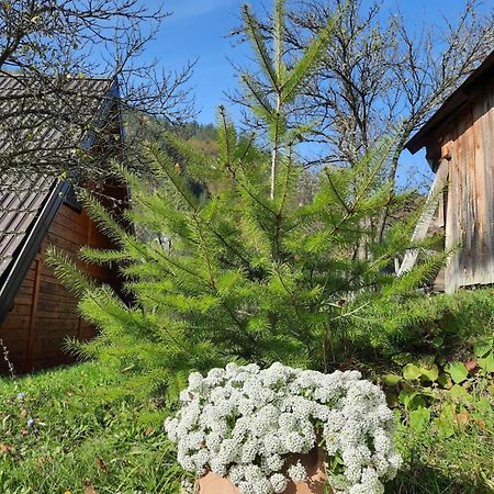 Vikendica Neven Villa Zaovine Luaran gambar
