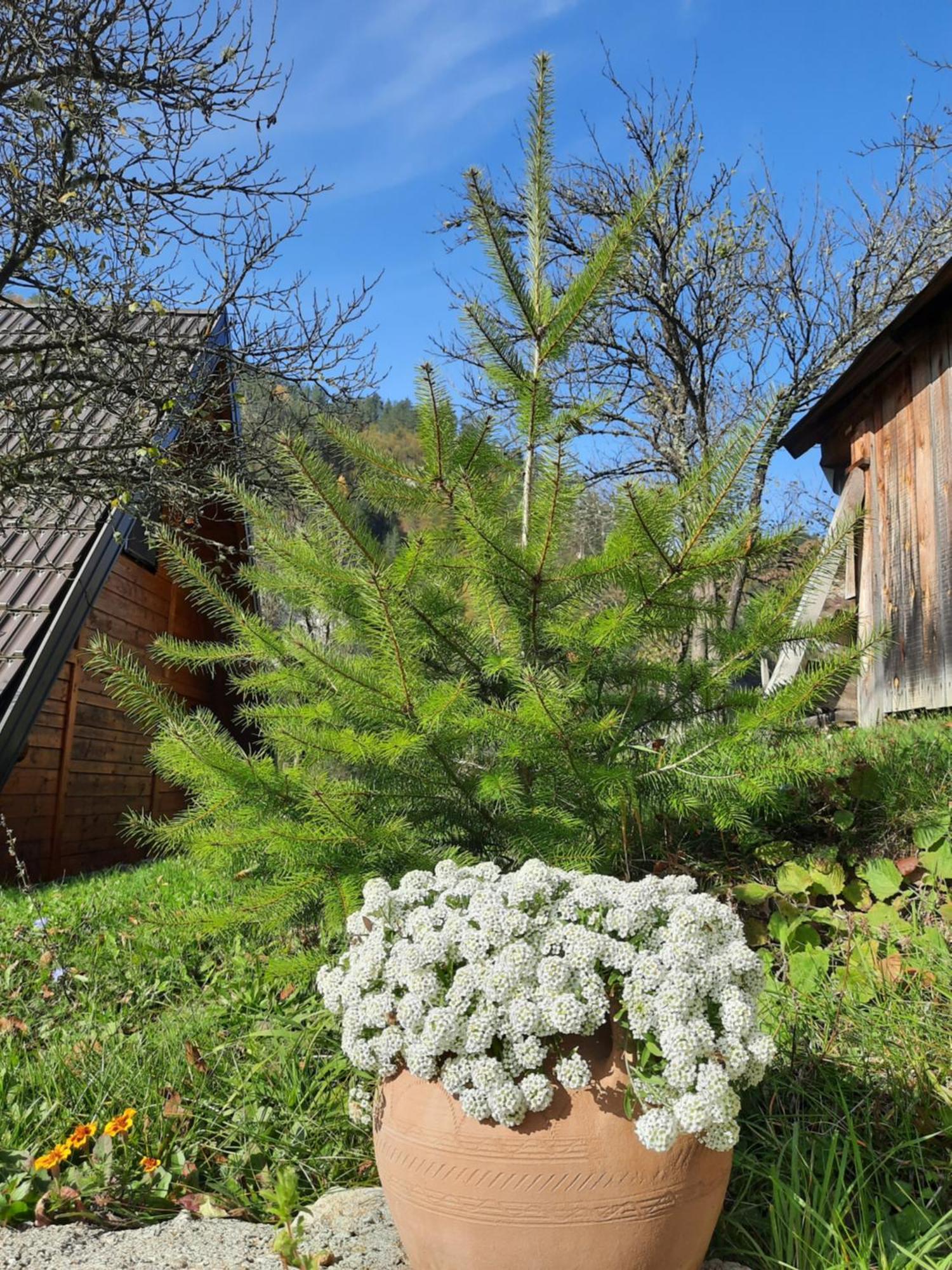 Vikendica Neven Villa Zaovine Luaran gambar